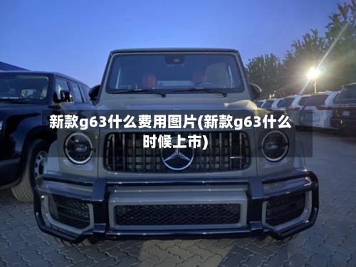 新款g63什么费用图片(新款g63什么时候上市)