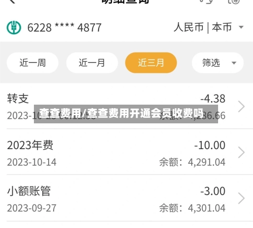 查查费用/查查费用开通会员收费吗