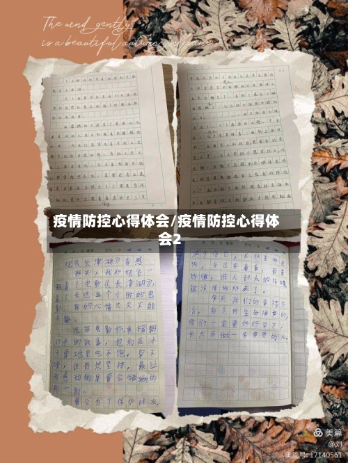 疫情防控心得体会/疫情防控心得体会2-第2张图片