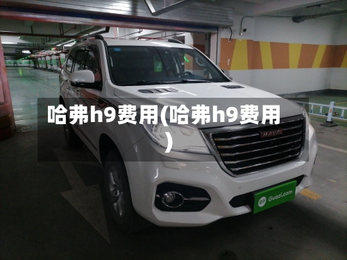 哈弗h9费用(哈弗h9费用)