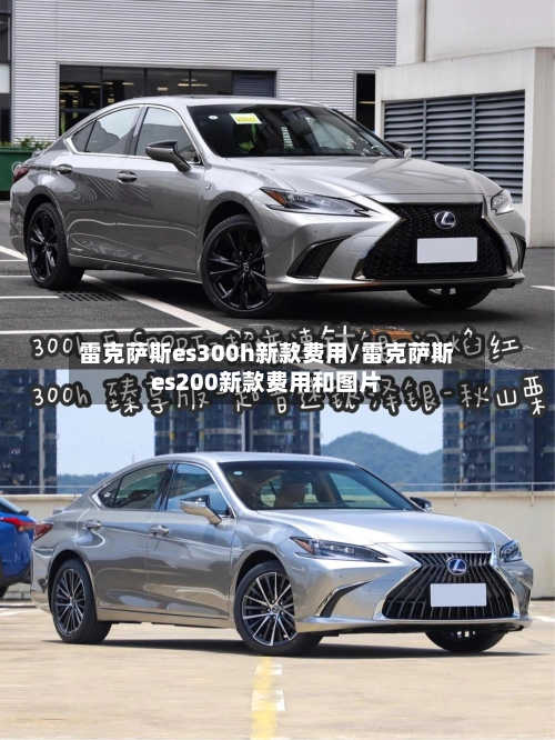 雷克萨斯es300h新款费用/雷克萨斯es200新款费用和图片-第2张图片