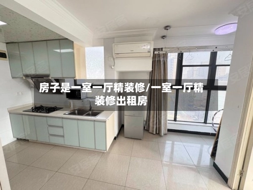 房子是一室一厅精装修/一室一厅精装修出租房-第3张图片