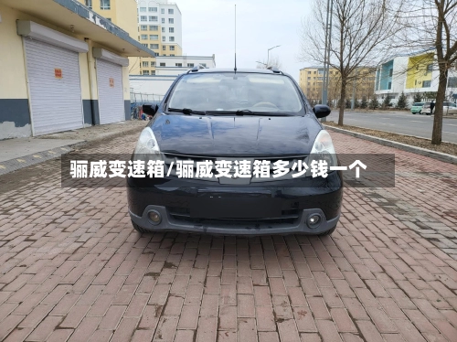 骊威变速箱/骊威变速箱多少钱一个-第2张图片