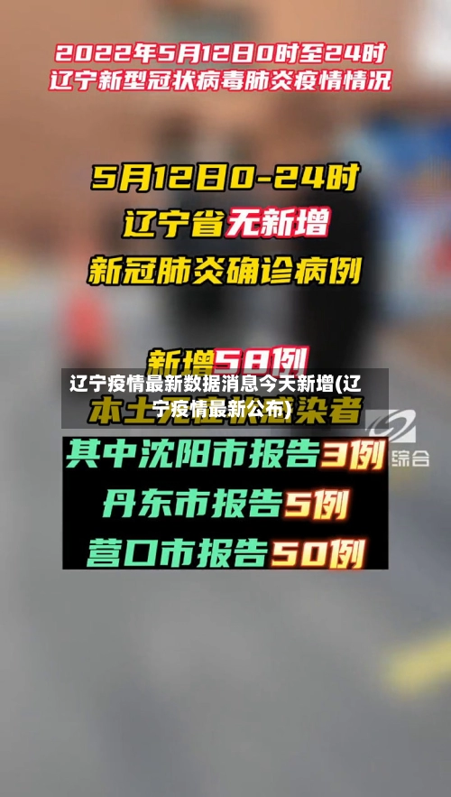 辽宁疫情最新数据消息今天新增(辽宁疫情最新公布)-第3张图片