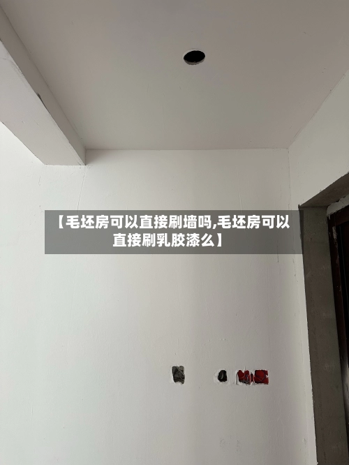 【毛坯房可以直接刷墙吗,毛坯房可以直接刷乳胶漆么】-第3张图片