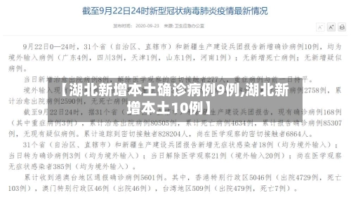 【湖北新增本土确诊病例9例,湖北新增本土10例】-第3张图片