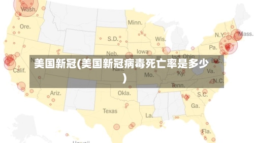 美国新冠(美国新冠病毒死亡率是多少)-第2张图片