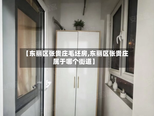 【东丽区张贵庄毛坯房,东丽区张贵庄属于哪个街道】-第3张图片