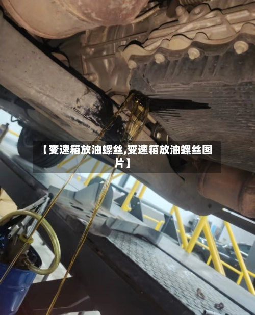 【变速箱放油螺丝,变速箱放油螺丝图片】