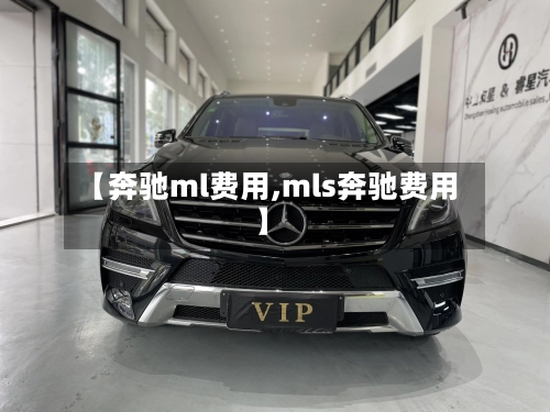 【奔驰ml费用,mls奔驰费用】-第2张图片