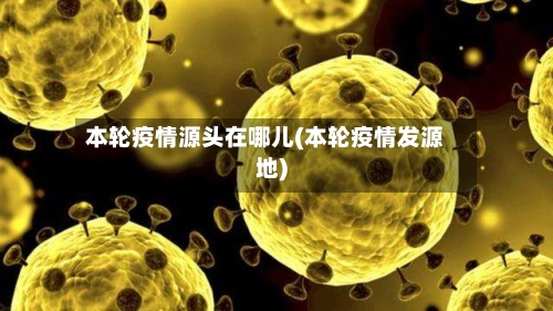 本轮疫情源头在哪儿(本轮疫情发源地)-第3张图片