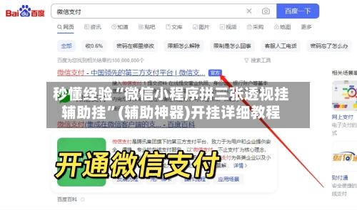 秒懂经验“微信小程序拼三张透视挂辅助挂”(辅助神器)开挂详细教程-第2张图片