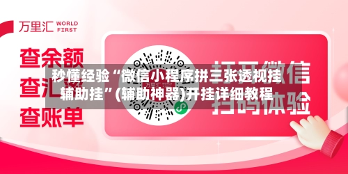 秒懂经验“微信小程序拼三张透视挂辅助挂”(辅助神器)开挂详细教程-第3张图片