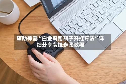 辅助神器“白金岛跑胡子开挂方法”详细分享装挂步骤教程-第3张图片