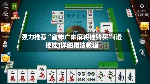 强力推荐“雀神广东麻将挂购买”(透视挂)详细用法教程-第2张图片
