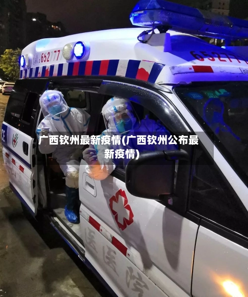 广西钦州最新疫情(广西钦州公布最新疫情)-第2张图片