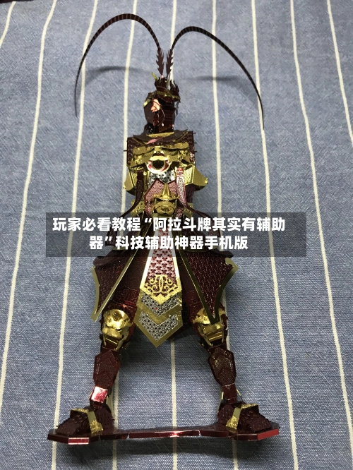 玩家必看教程“阿拉斗牌其实有辅助器”科技辅助神器手机版-第3张图片