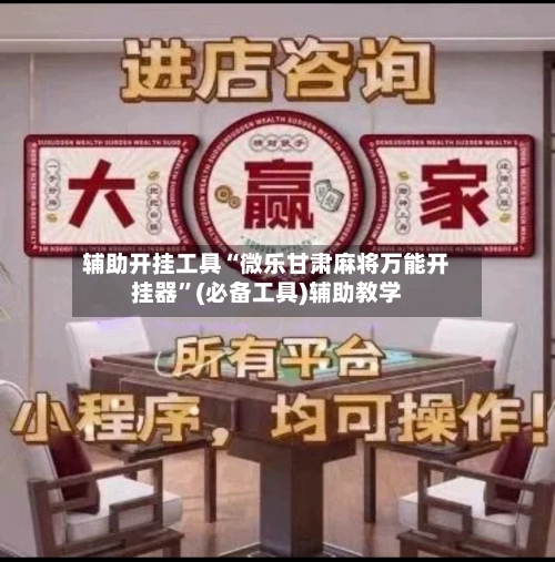 辅助开挂工具“微乐甘肃麻将万能开挂器”(必备工具)辅助教学-第2张图片