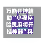 万能开挂辅助“小程序哈灵麻将开挂神器”科技辅助神器手机版教程-第2张图片
