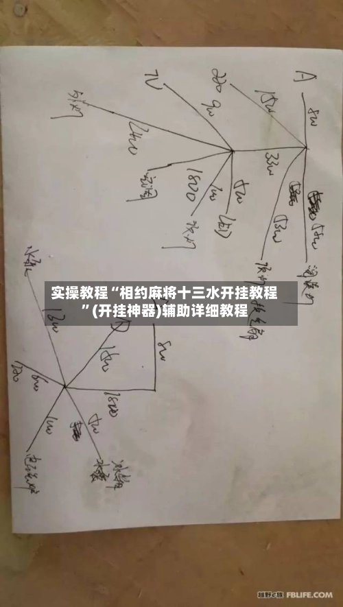 实操教程“相约麻将十三水开挂教程”(开挂神器)辅助详细教程-第3张图片
