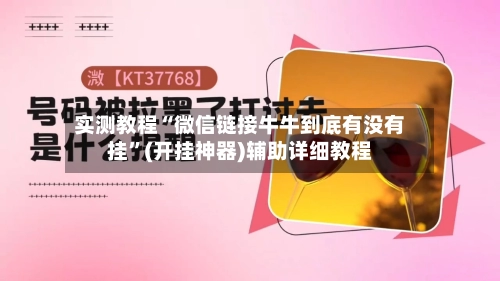 实测教程“微信链接牛牛到底有没有挂”(开挂神器)辅助详细教程-第2张图片