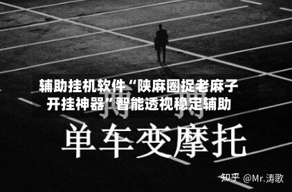 辅助挂机软件“陕麻圈捉老麻子开挂神器”智能透视稳定辅助-第2张图片