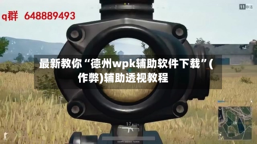 最新教你“德州wpk辅助软件下载	”(作弊)辅助透视教程-第2张图片