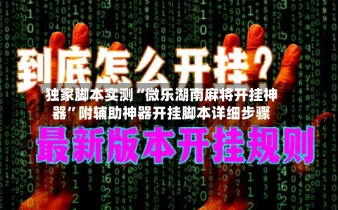 独家脚本实测“微乐湖南麻将开挂神器”附辅助神器开挂脚本详细步骤-第2张图片