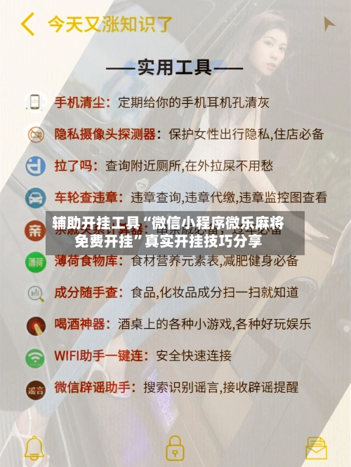 辅助开挂工具“微信小程序微乐麻将免费开挂”真实开挂技巧分享-第2张图片
