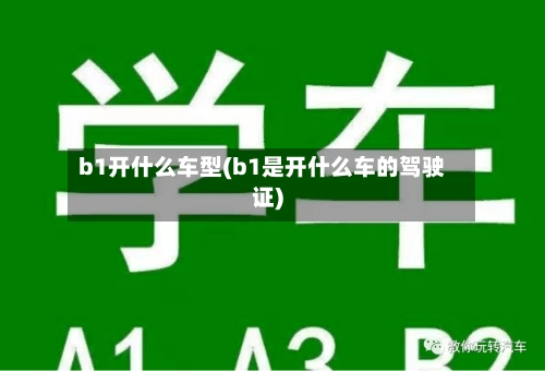b1开什么车型(b1是开什么车的驾驶证)-第3张图片