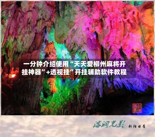 一分钟介绍使用“天天爱柳州麻将开挂神器”+透视挂	”开挂辅助软件教程-第3张图片