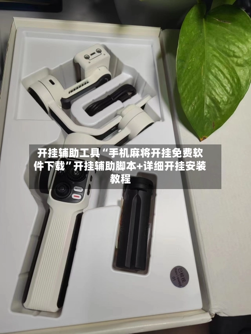 开挂辅助工具“手机麻将开挂免费软件下载”开挂辅助脚本+详细开挂安装教程-第2张图片