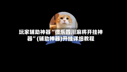 玩家辅助神器“微乐四川麻将开挂神器	”(辅助神器)开挂详细教程-第2张图片