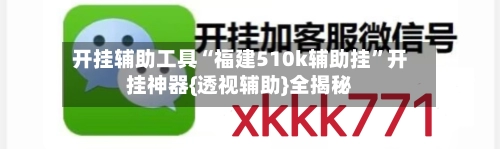 开挂辅助工具“福建510k辅助挂	”开挂神器{透视辅助}全揭秘-第2张图片