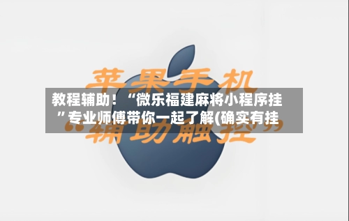 教程辅助！“微乐福建麻将小程序挂”专业师傅带你一起了解(确实有挂-第2张图片