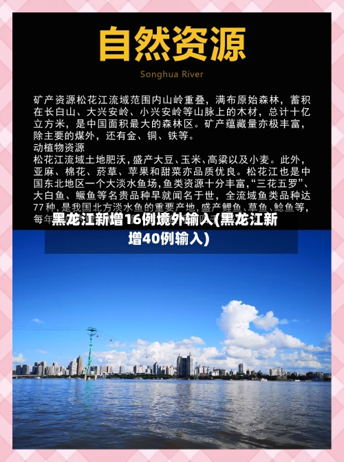 黑龙江新增16例境外输入(黑龙江新增40例输入)-第2张图片