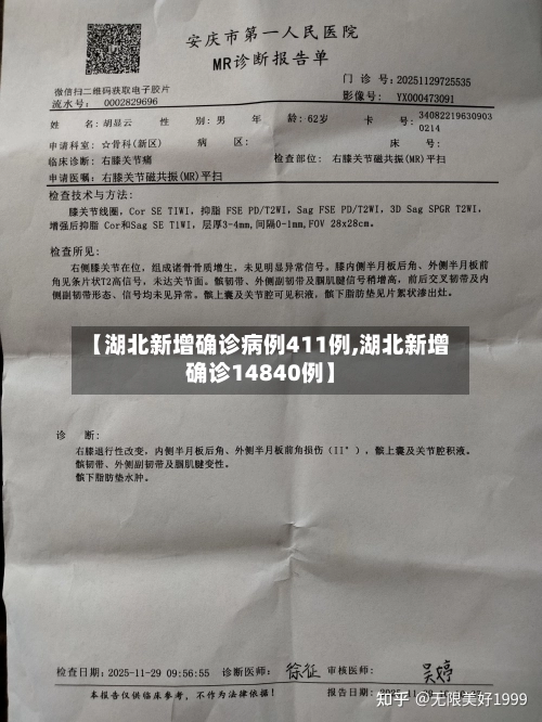 【湖北新增确诊病例411例,湖北新增确诊14840例】-第2张图片