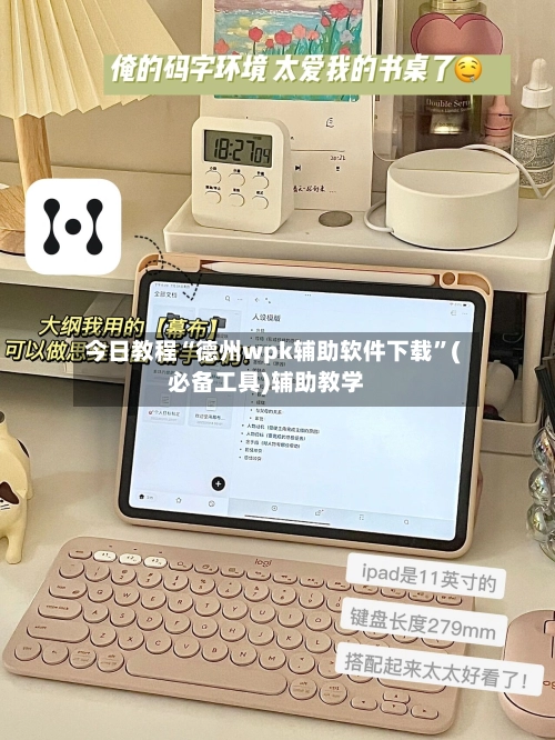 今日教程“德州wpk辅助软件下载	”(必备工具)辅助教学-第2张图片