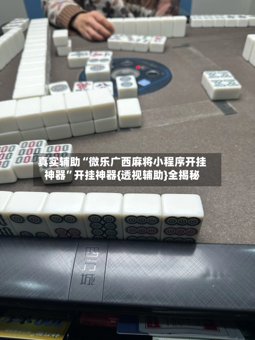 真实辅助“微乐广西麻将小程序开挂神器”开挂神器{透视辅助}全揭秘-第3张图片