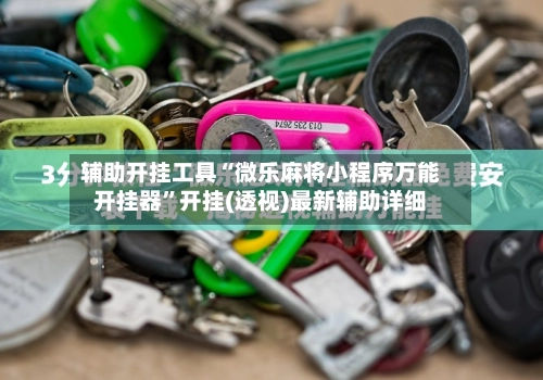 辅助开挂工具“微乐麻将小程序万能开挂器	”开挂(透视)最新辅助详细-第3张图片
