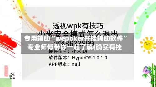 专用辅助“wepoker开挂辅助软件”专业师傅带你一起了解(确实有挂-第3张图片