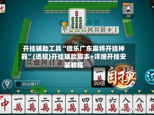 开挂辅助工具“微乐广东麻将开挂神器”(透视)开挂辅助脚本+详细开挂安装教程-第2张图片