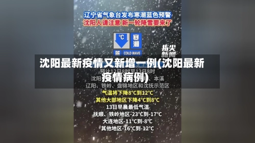 沈阳最新疫情又新增一例(沈阳最新疫情病例)-第2张图片