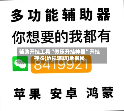 辅助开挂工具“微乐开挂神器”开挂神器{透视辅助}全揭秘-第3张图片