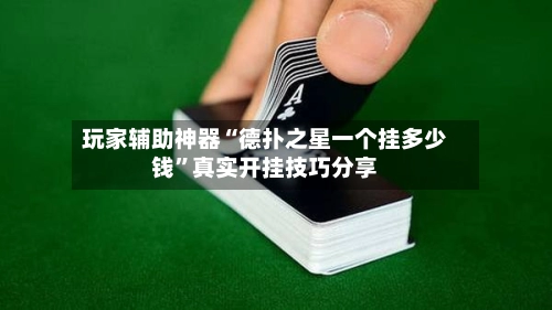 玩家辅助神器“德扑之星一个挂多少钱	”真实开挂技巧分享-第2张图片