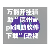 万能开挂辅助“ 德州wpk辅助软件下载”(透视挂)辅助下载教程-第2张图片