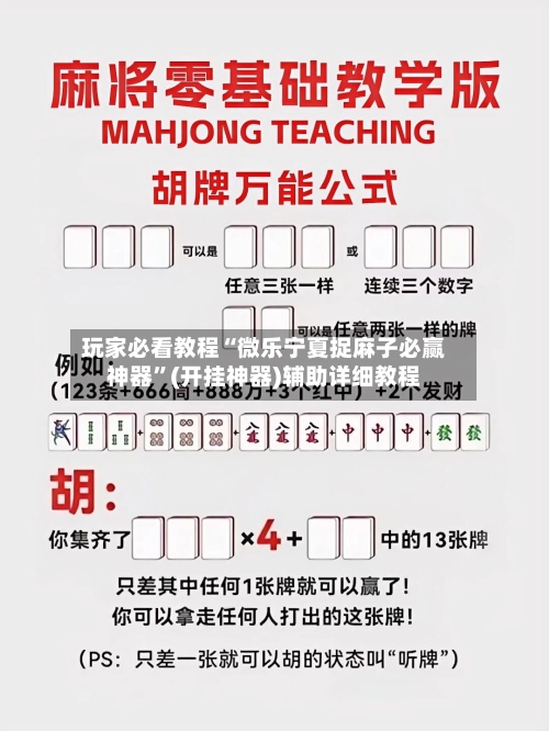 玩家必看教程“微乐宁夏捉麻子必赢神器	”(开挂神器)辅助详细教程-第3张图片