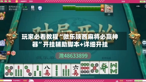 玩家必看教程“微乐陕西麻将必赢神器	”开挂辅助脚本+详细开挂-第2张图片