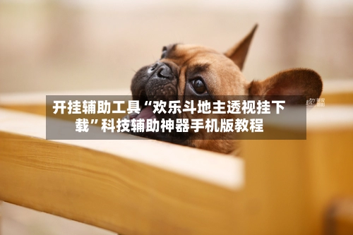 开挂辅助工具“欢乐斗地主透视挂下载	”科技辅助神器手机版教程-第2张图片