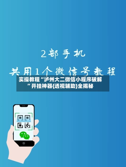 实操教程“泸州大二微信小程序破解”开挂神器{透视辅助}全揭秘-第3张图片